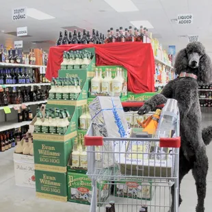 Gift ideas and wrapping too!