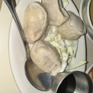 Meat Dumplings (4)