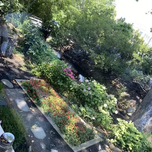 ramen and noodles, outside