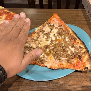 Hand for scale.