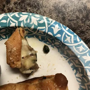 Stromboli with bug. It was inside and fell out when he cut into a piece.