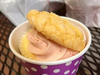 Cupcakes and Curiosities