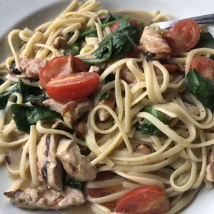 a plate of pasta with chicken and spinach