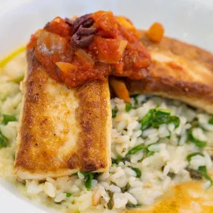 Pan Crusted Mahi Mahi served with risotto champagne blended with spinach and tomato sofrito