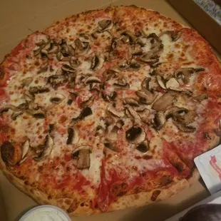 Mushroom pizza, tomato sauce was amazimg