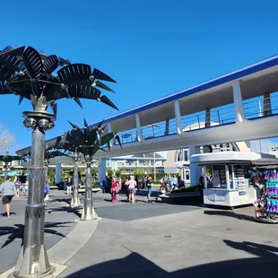 a palm tree in the middle of a parking lot