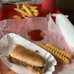 Hot dog  and French  Fries