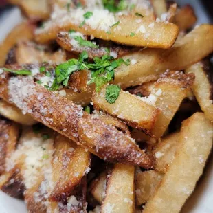 a plate of french fries with parmesan cheese