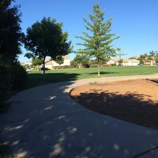 Lots of open space and grass to run around