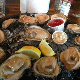 A dozen oysters for $7!!