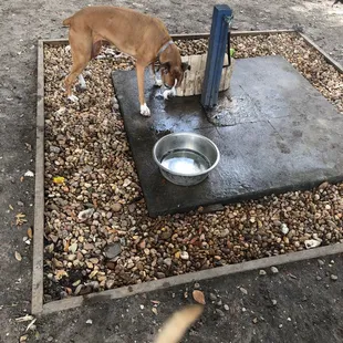 New Water Station