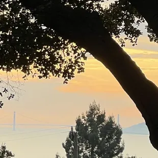 View from John Hinkel Park