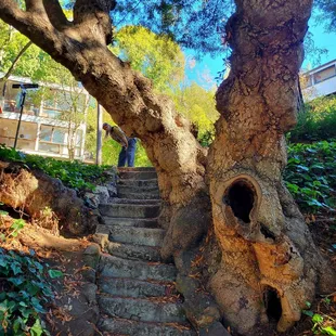 Adults, remember to duck--otherwise you may bonk your head