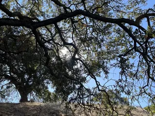 Acalanes Ridge Recreation Area