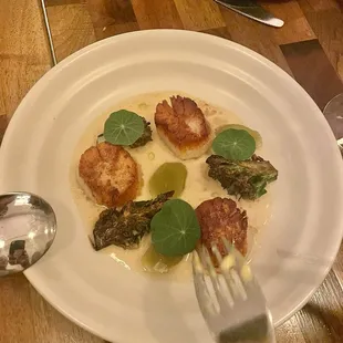 Scallops