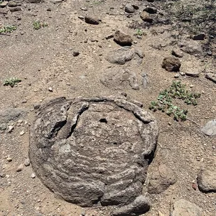 Lava rock on top of Johns fort.