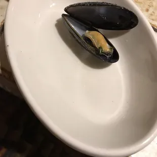 MUSSELS