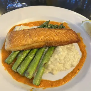 Pan Seared salmon with risotto and some amazing sauce