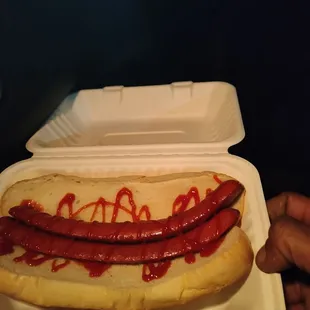 Ketchup Dog