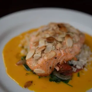 Salmon with fantastic orange sauce