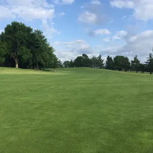 #11 Fairway