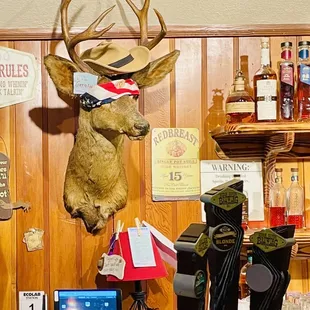 Fun. Bar area