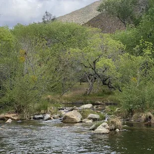 Beautiful river along the back of the property