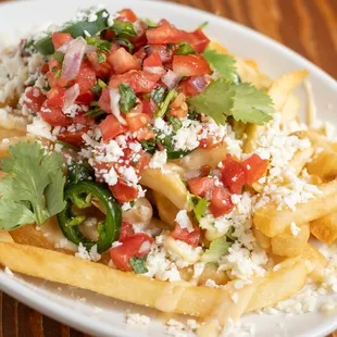 Mexican cheese fries