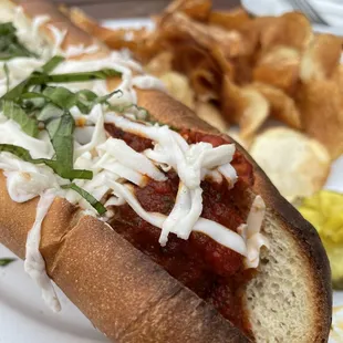 Vegan meatball sandwich.