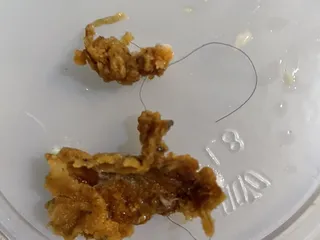 Louisiana Famous Fried Chicken