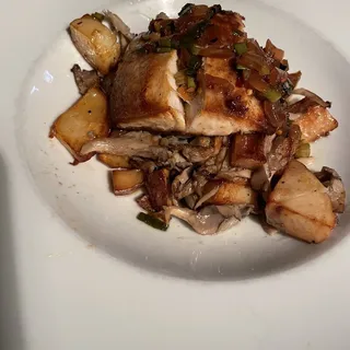 Fish of The Day