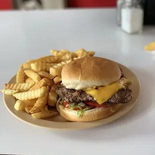 Cheeseburger and fries - just the way I like!