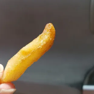 One french fry that got into the fried zucchini bag