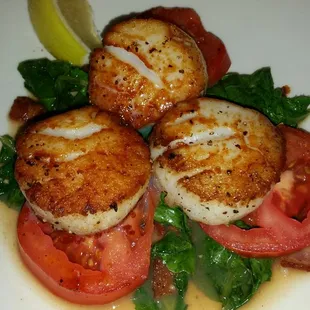 Scallops