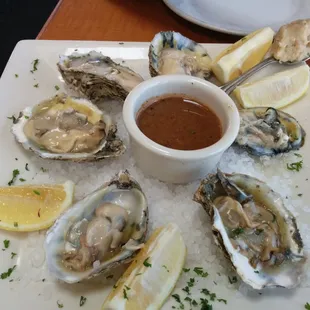 Fresh shucked oysters