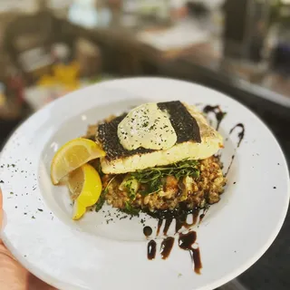 Local Halibut