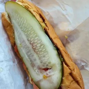 Chicago dog