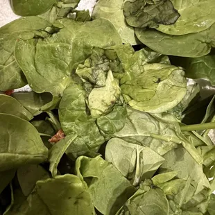 Close up of nasty spinach