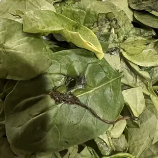 Old expired spinach - I thought the top piece was a dead lizard at first.