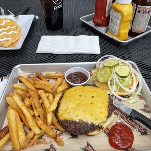 Burger and seasoned fries