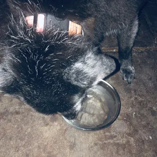 Special for lady ice cold water