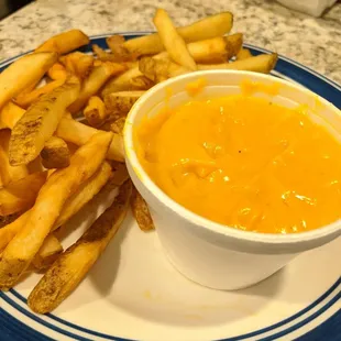 Fries and a "Cup of Cheese" on the side