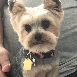 Rosemary J.