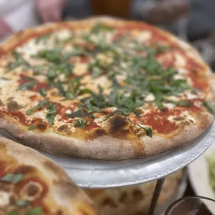 Margherita Pizza