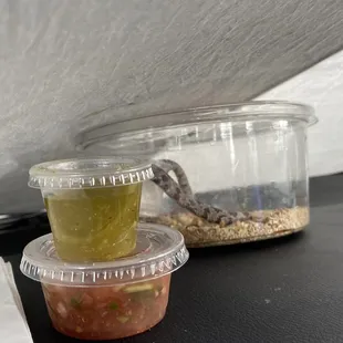 Salsas! And my snake (more of him at the end)