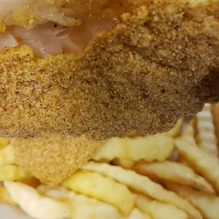 Dry, overcooked, paper thin...and it's not catfish!