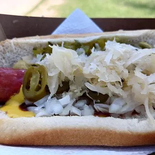 Jumbo beef dog with everything!