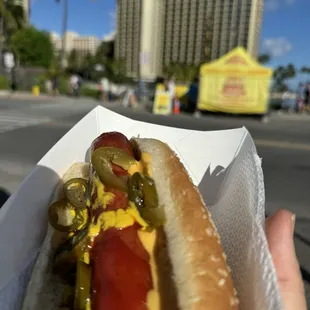 hot dogs, food, hot dog, sandwich