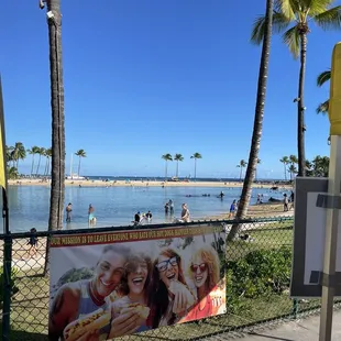 Hilton Hawaiian Village lagoon