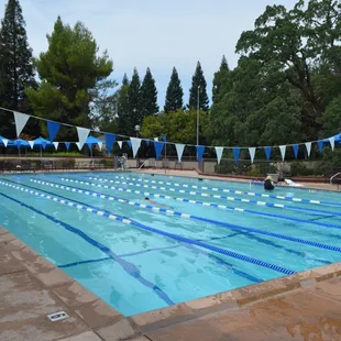Johnson Ranch Lap Pool
